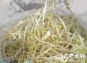 豆芽爆料视频,幕后真相大起底