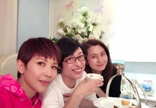 娱乐大爆料陈法蓉是谁,娱乐大爆料中的璀璨明星